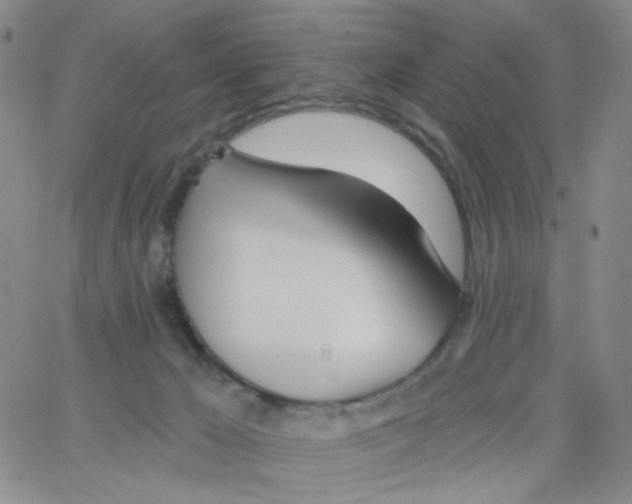 X0000062910029200602101843