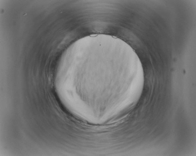 X0000062910031200602101843