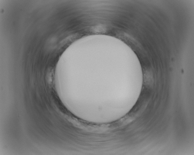 X0000062910032200602101843