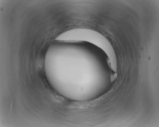 X0000062910033200602101843