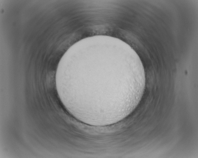 X0000062910034200602101843