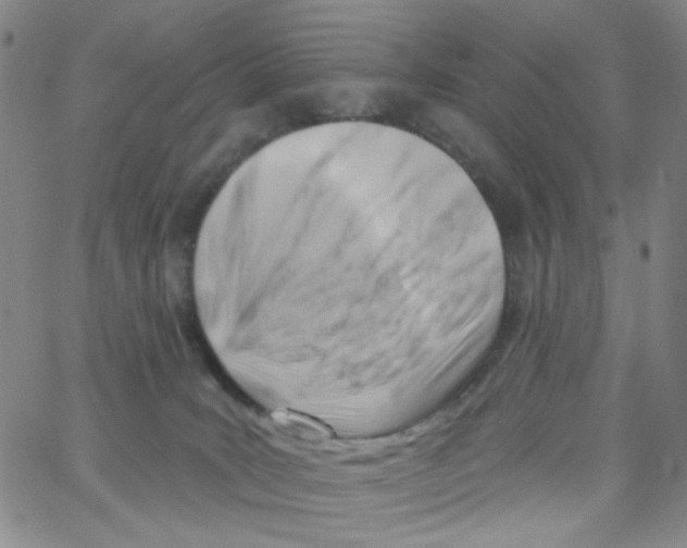 X0000062910035200602101843