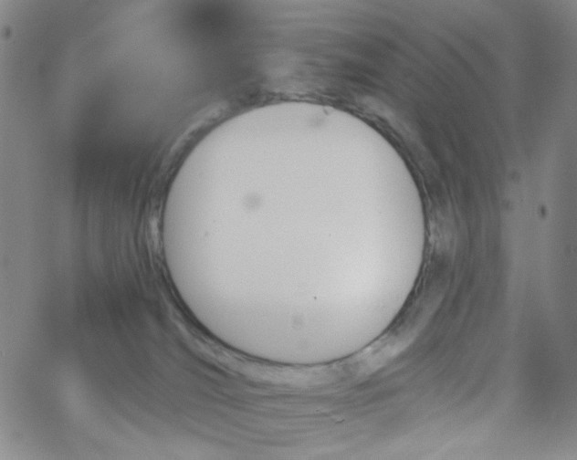 X0000062910036200602101843