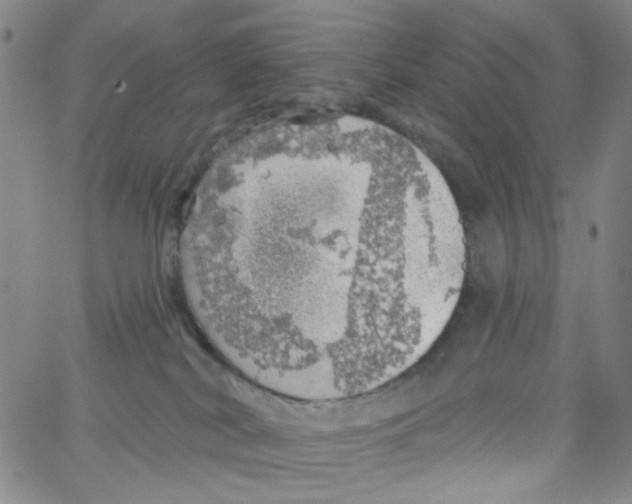 X0000062910038200602101843