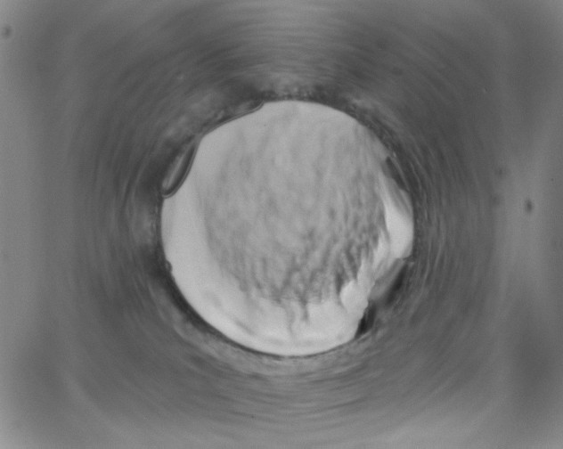 X0000062910039200602101843