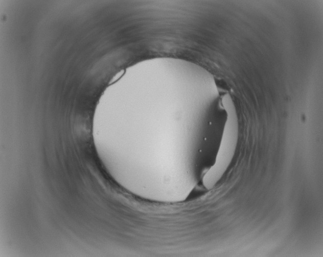 X0000062910040200602101843