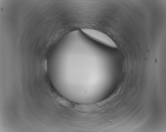 X0000062910041200602101843