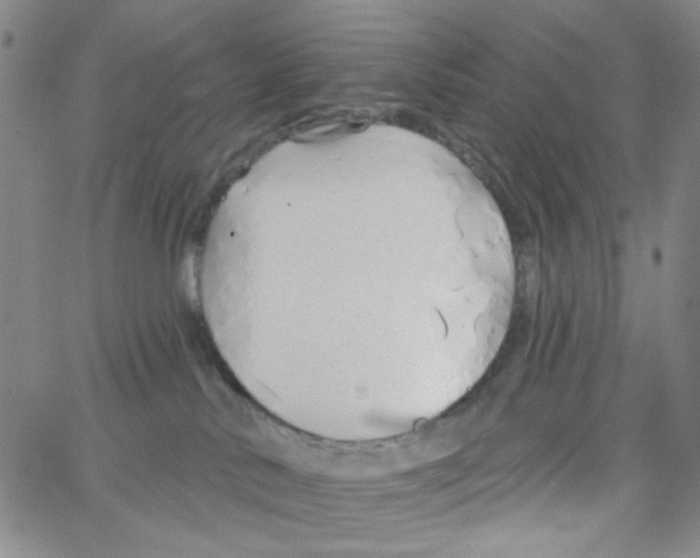 X0000062910042200602101843