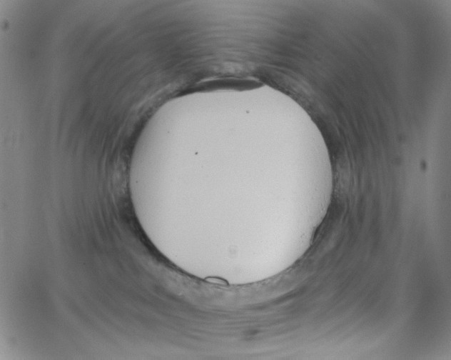 X0000062910043200602101843