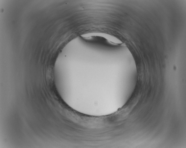 X0000062910044200602101843