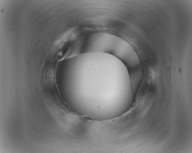 X0000062910045200602101843