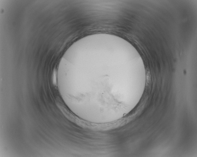 X0000062910046200602101843