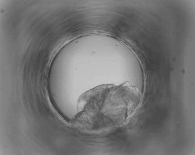 X0000062910049200602101842