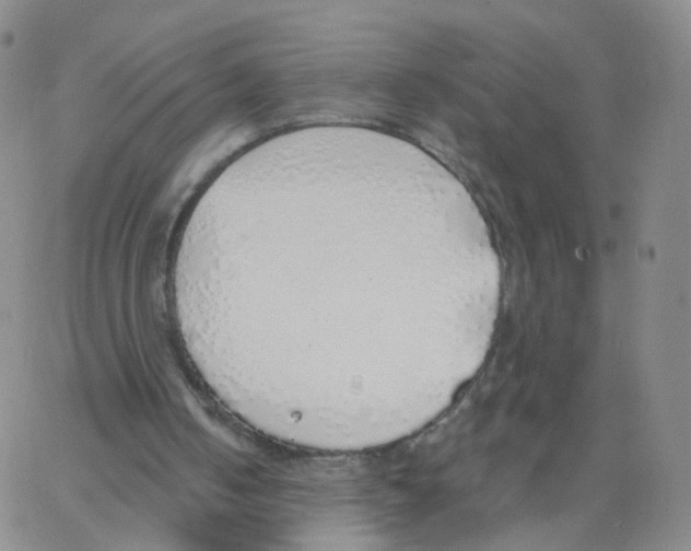 X0000062910050200602101842