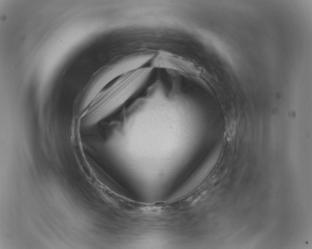 X0000062910052200602101842