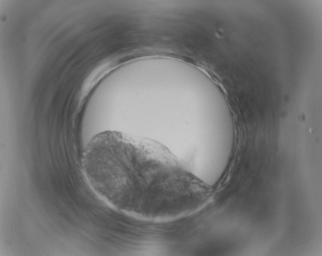 X0000062910053200602101842