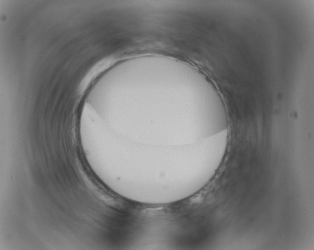 X0000062910054200602101842