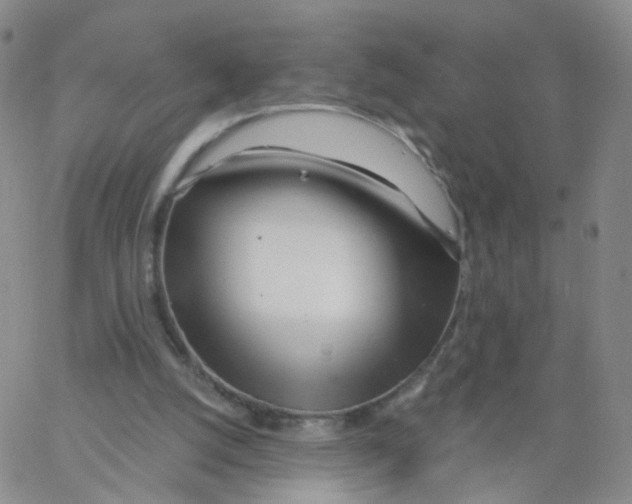 X0000062910056200602101842