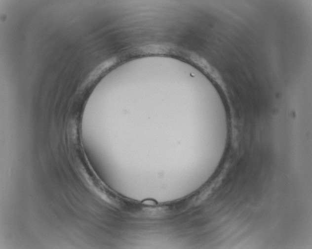 X0000062910057200602101842