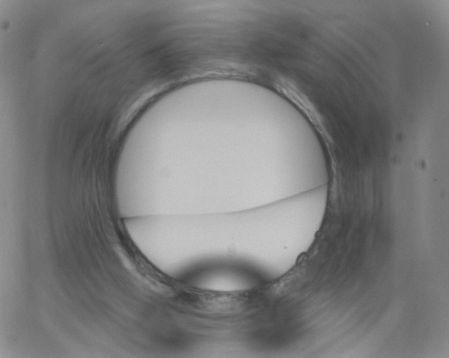 X0000062910058200602101842