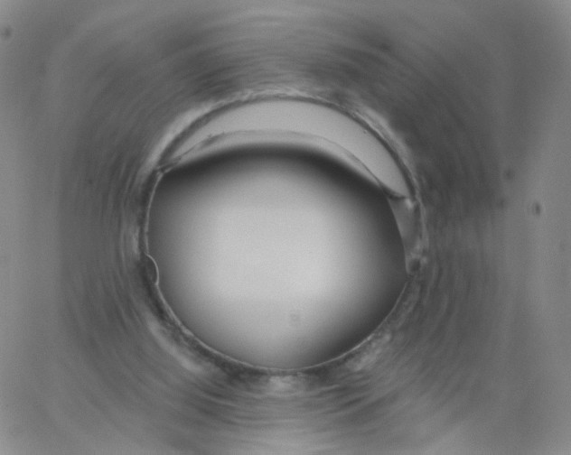 X0000062910060200602101842