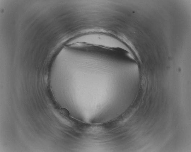 X0000062910063200602101842