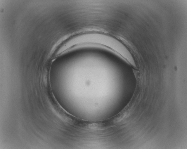 X0000062910064200602101842