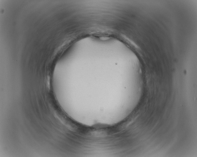 X0000062910067200602101842