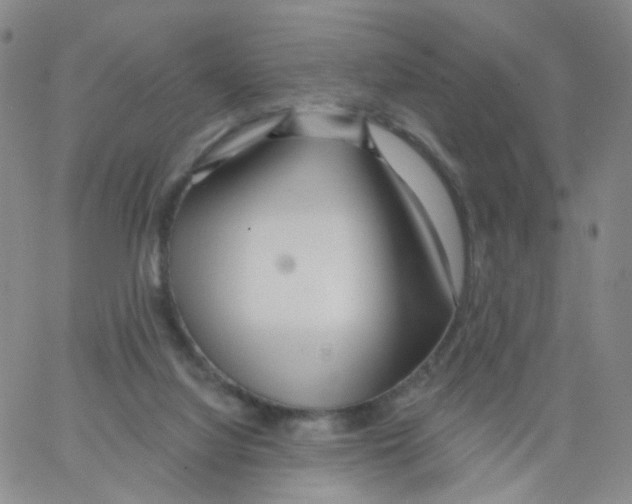 X0000062910068200602101842