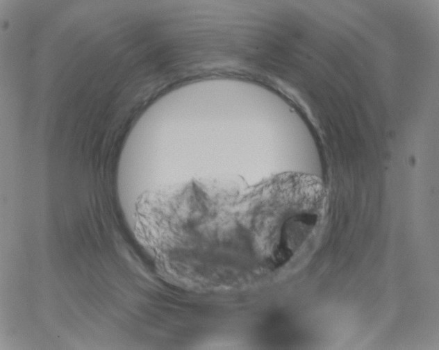 X0000062910069200602101842