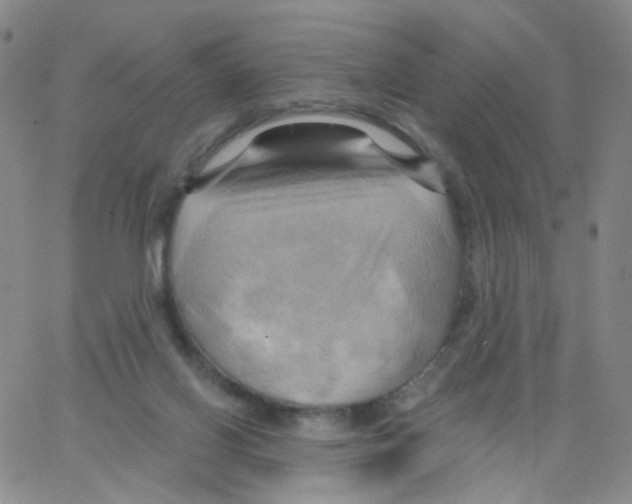 X0000062910070200602101842