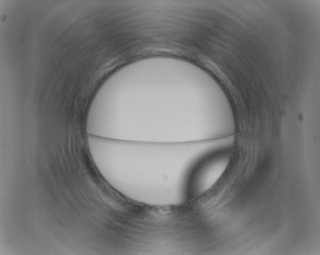 X0000062910071200602101842