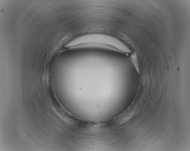 X0000062910072200602101842