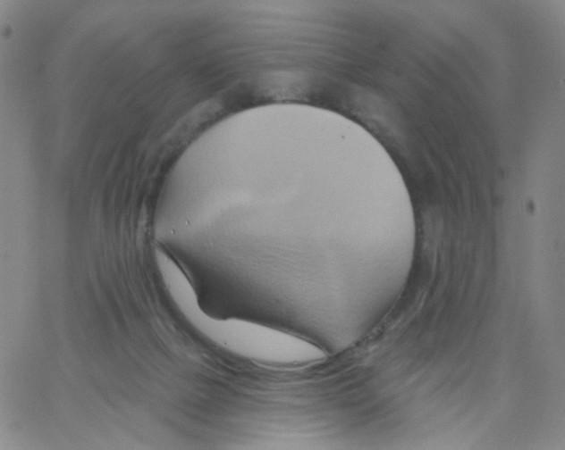 X0000062910073200602101842