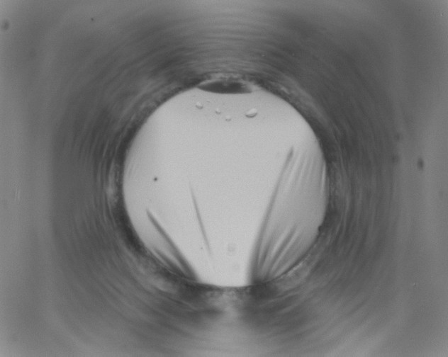 X0000062910074200602101842