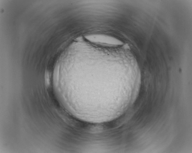 X0000062910075200602101842