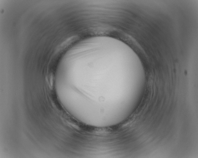 X0000062910076200602101842