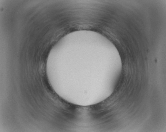 X0000062910079200602101842