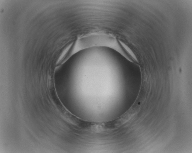 X0000062910080200602101842