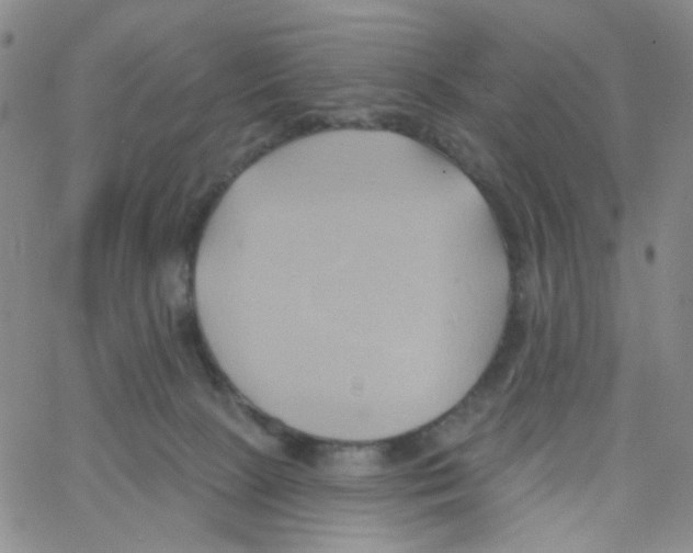 X0000062910081200602101842