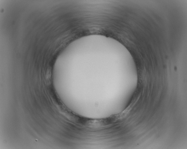 X0000062910082200602101842