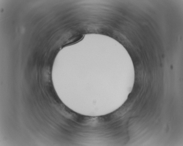 X0000062910083200602101842