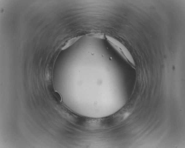 X0000062910084200602101842