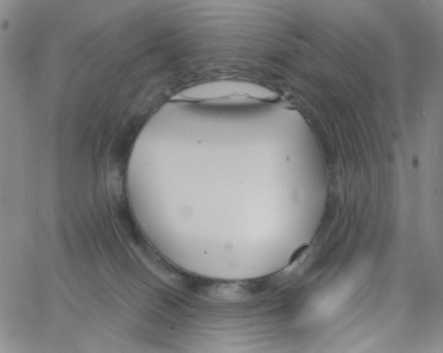 X0000062910086200602101842