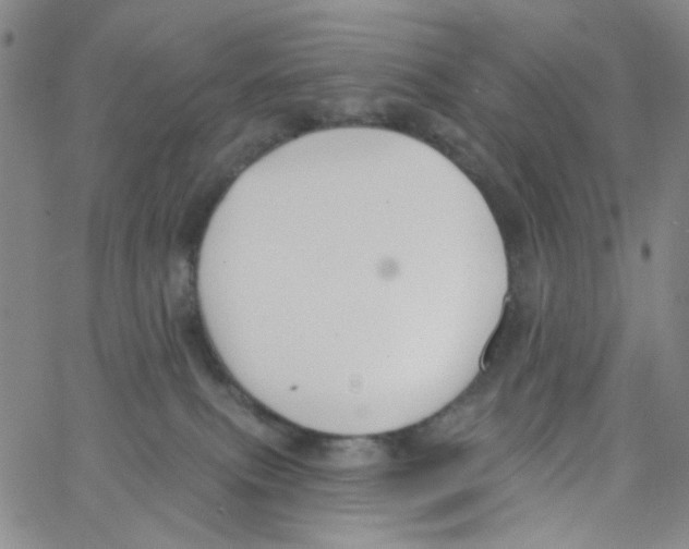 X0000062910087200602101842