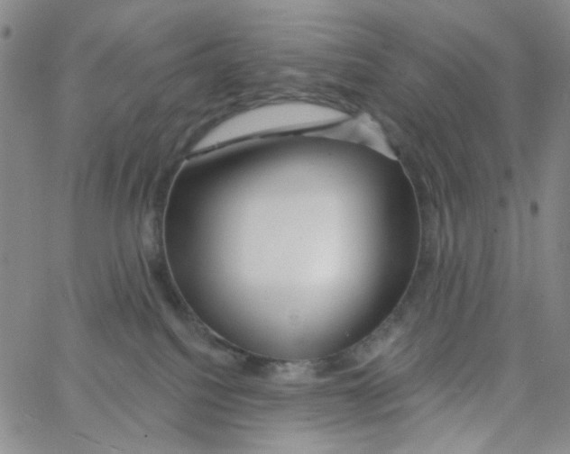 X0000062910088200602101842