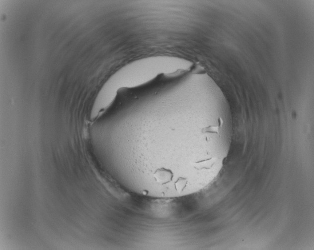 X0000062910090200602101843