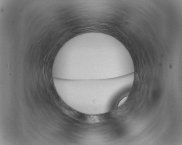 X0000062910091200602101843