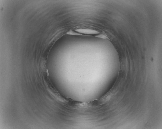 X0000062910092200602101843