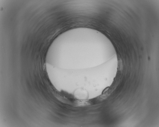 X0000062910093200602101843